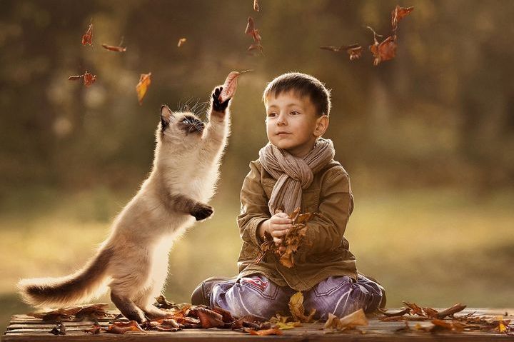 Мальчик и кот в осенних листьях
