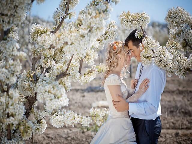 Парень и девушка под цветущим деревом