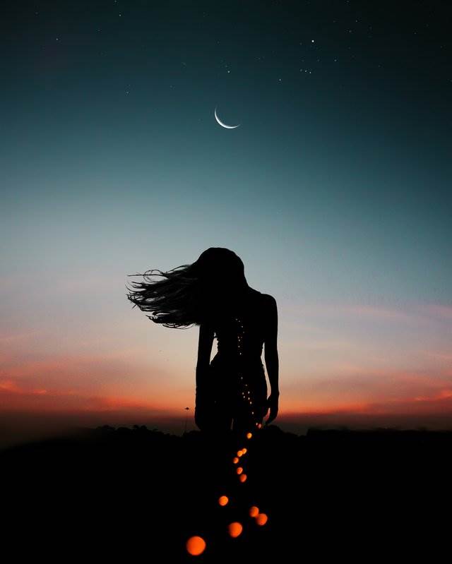 Девушка в лунную ночь