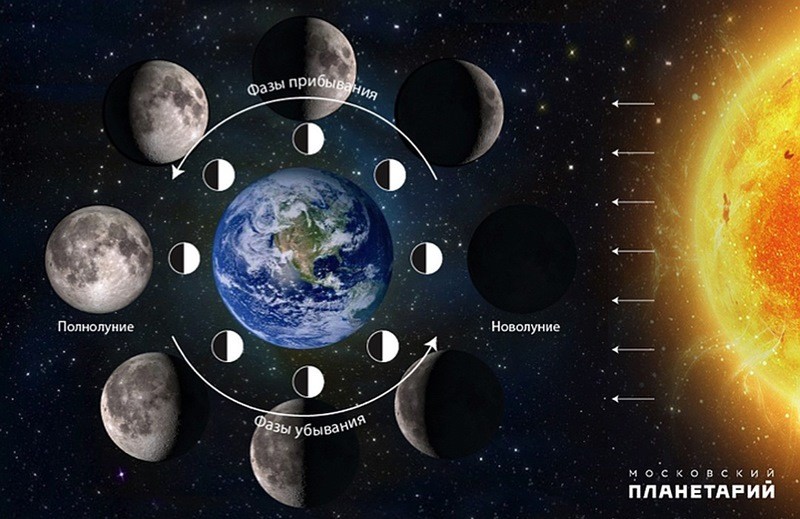 фазы Луны картинка схема