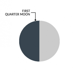 Moon Phases First Quarter Moon
