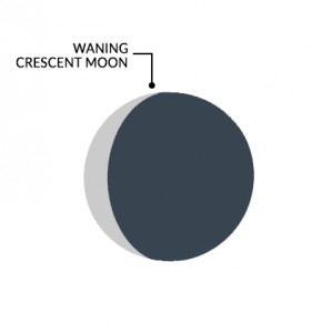 Moon Phases Waning Crescent Moon