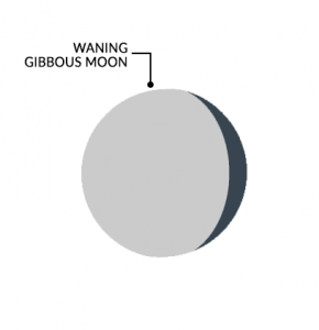 Moon Phases Waning Gibbous Moon