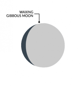 Moon Phases Waxing Gibbous Moon