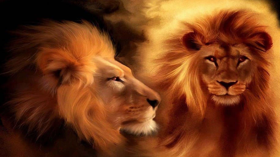 Знак зодиака Лев, царь зверей..jpg
