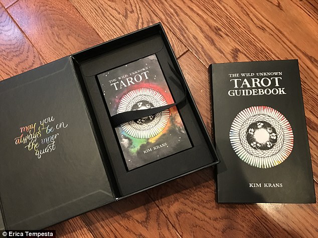 First step: Erica ordered The Wild Unknown Tarot Deck and Guidebook to use during her unusual experiment 