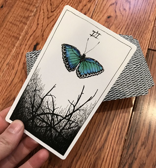 Social butterfly: Erica took it as a sign she should go out with her friends after she picked the Six of Wands, a card that is all about victory, success, and rising up 
