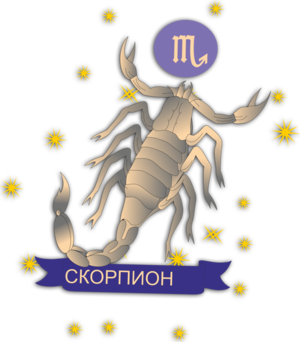 Особенности знака зодиака Скорпион