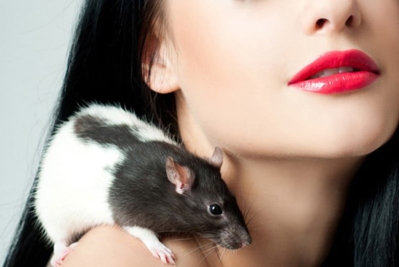 женщина в год крысы