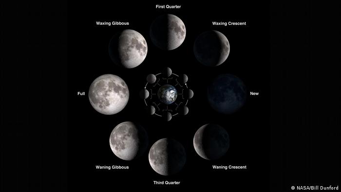 NASA — graphic illustrating the phases of the moon (NASA/Bill Dunford)