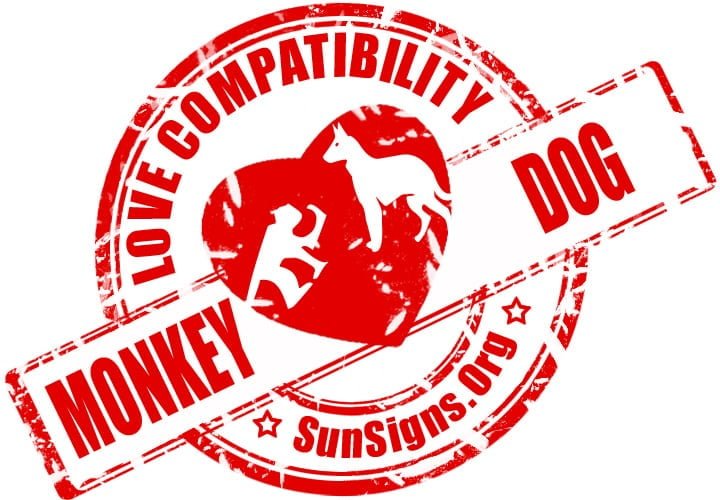 Chinese Monkey Dog Compatibility. Generally, the monkey and dog soulmates can be a couple who has a lot of fun together. 