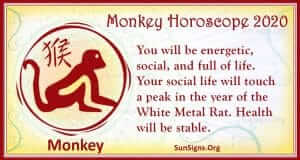 Monkey Horoscope 2020 Predictions For Love, Finance, Career, Health And Family