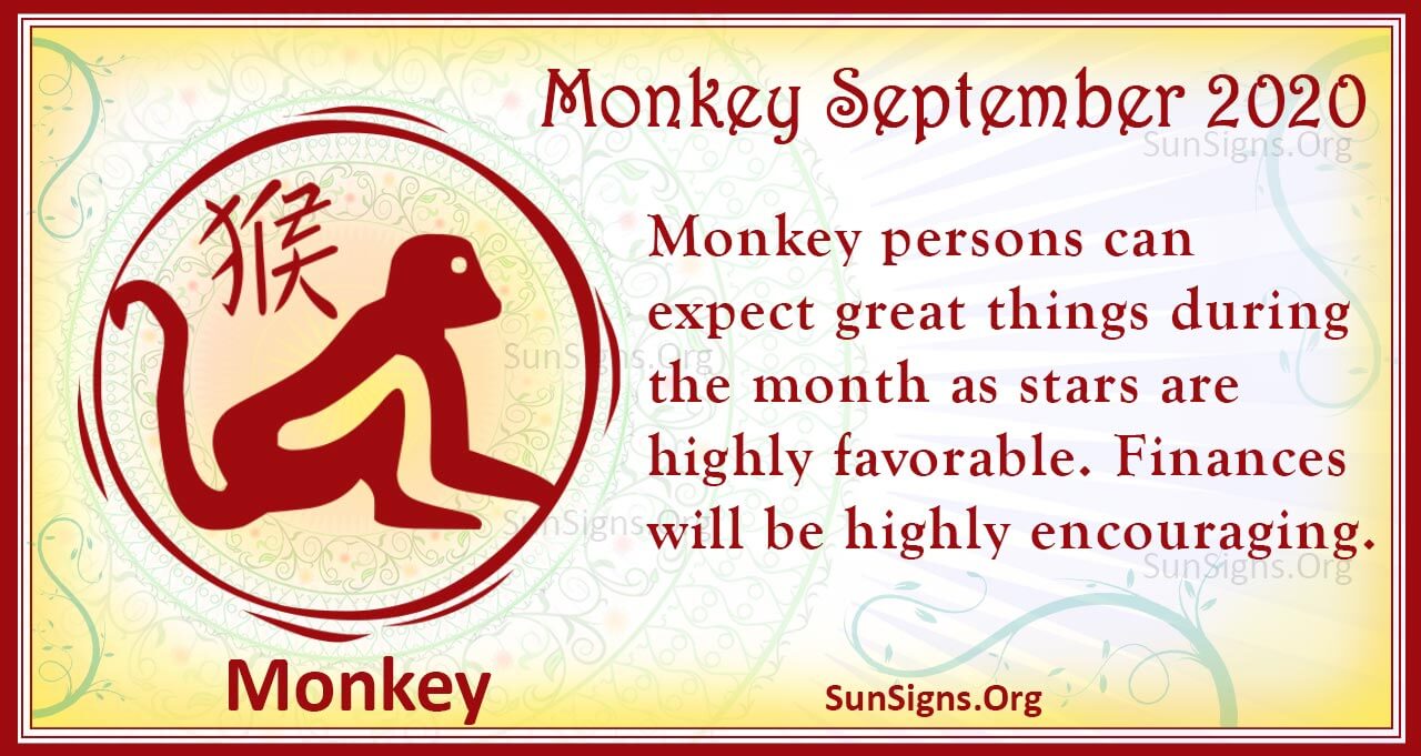monkey september 2020