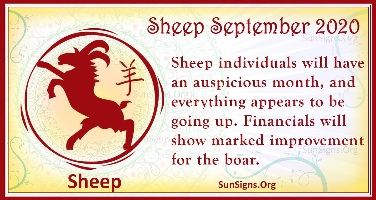 sheep september 2020