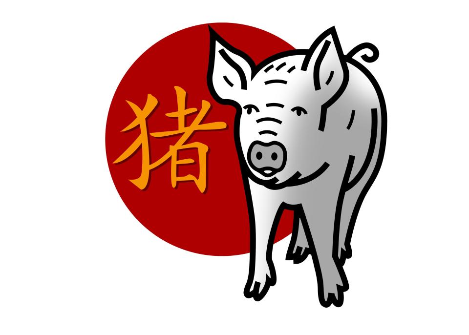 Год Свиньи в Китайском гороскопе