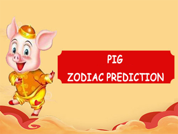zodiac pig red prediction
