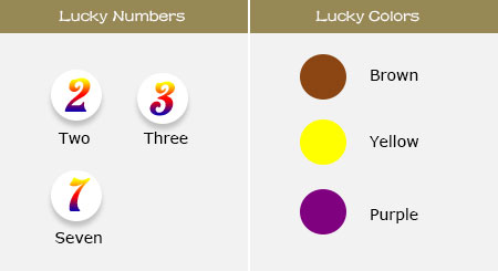 Lucky Numbers and Colors of Horse