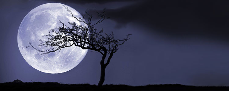 3 октября 2020 лунные сутки: Какой лунный день 3 октября 2020 года
