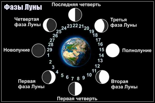 Когда в ноябре будет растущая луна: Когда и с какого числа в ноябре 2019 года начинается Растущая Луна