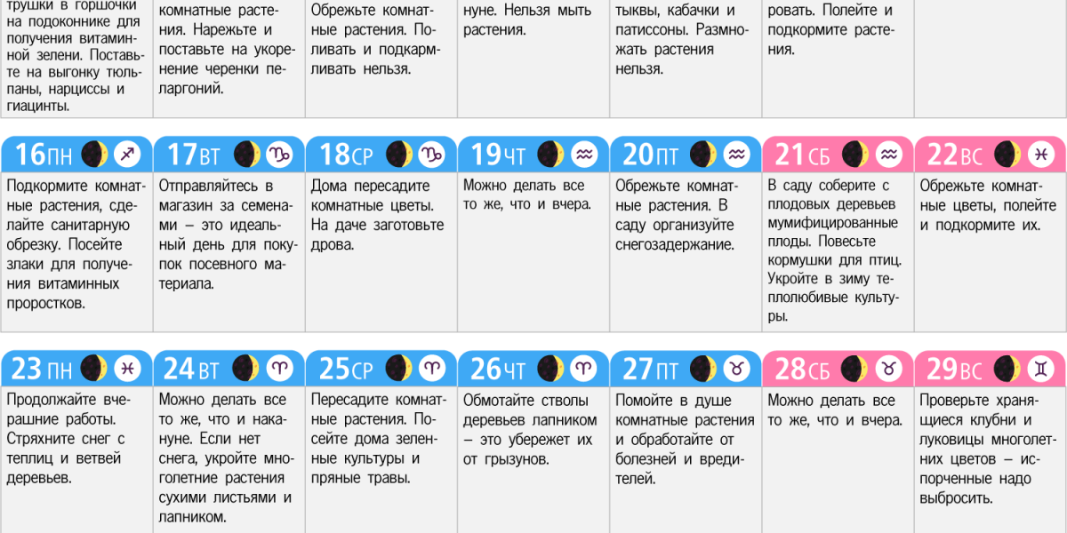 Ноябрь лунный календарь: Лунный календарь на ноябрь 2020 для Москвы
