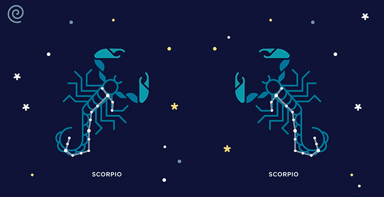 Взаимоотношения скорпион и скорпион: Скорпион и Скорпион. Совместимость партнеров в любви